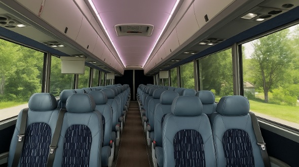 laguna niguel 20 passenger minibus rental