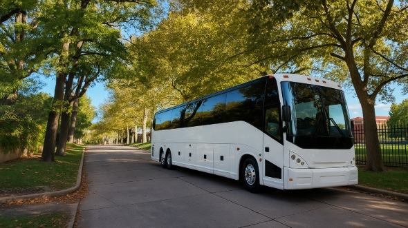 laguna niguel emergency transportation service